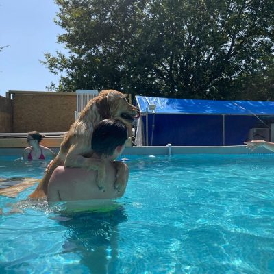 piscina per cane